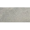 Buddha gris